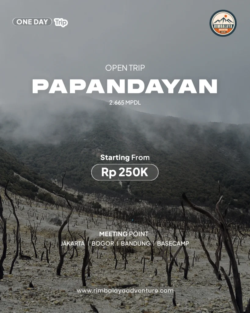 Gunung Papandayan