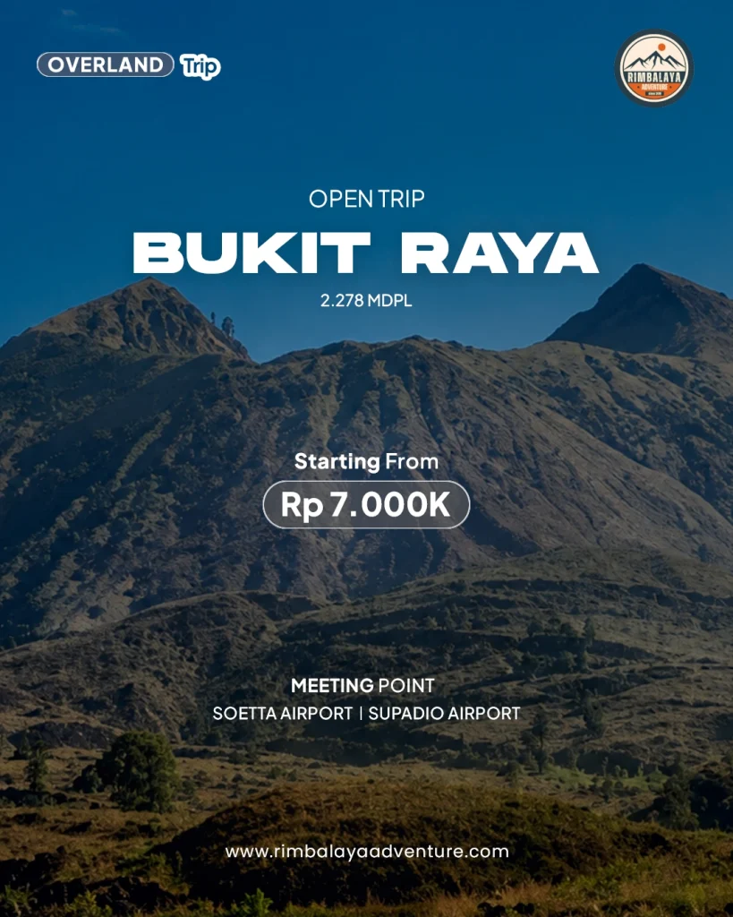 Bukit Raya